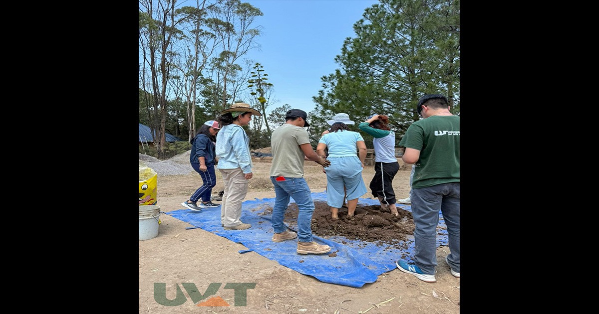 Arquitectura y Sostenibilidad, Estudiantes Exploran la Bioconstrucción