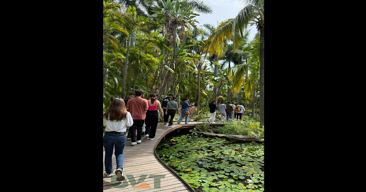 Diseñando con la naturaleza, alumnos exploran la biodiversidad en Jardines de México