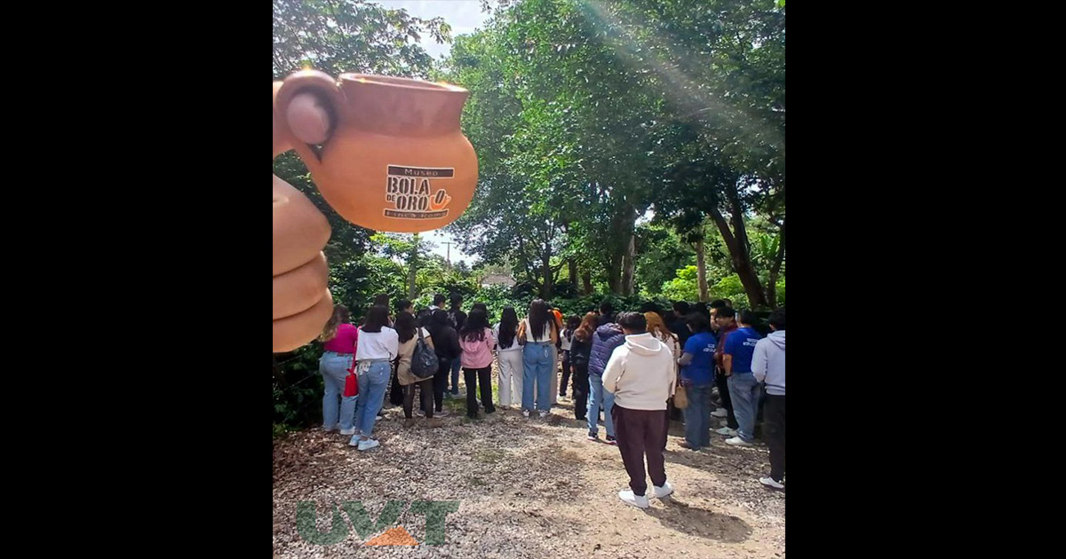 Aprendizaje en campo, Turismo y Negocios Internacionales exploran el mundo del café