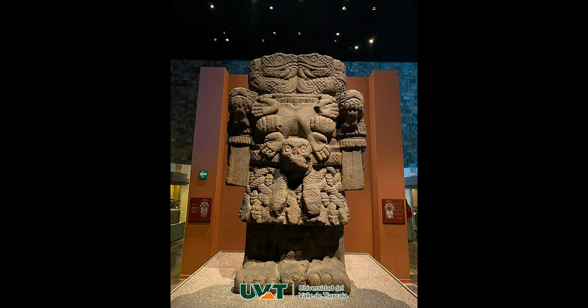 Visita académica al Museo de Antropología: un puente entre teoría y realidad cultural